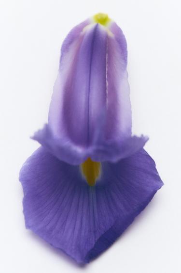 BERRY GLAZED EDT 30 ML / 1.0 FL OZ - TINTED LEATHER by Zara