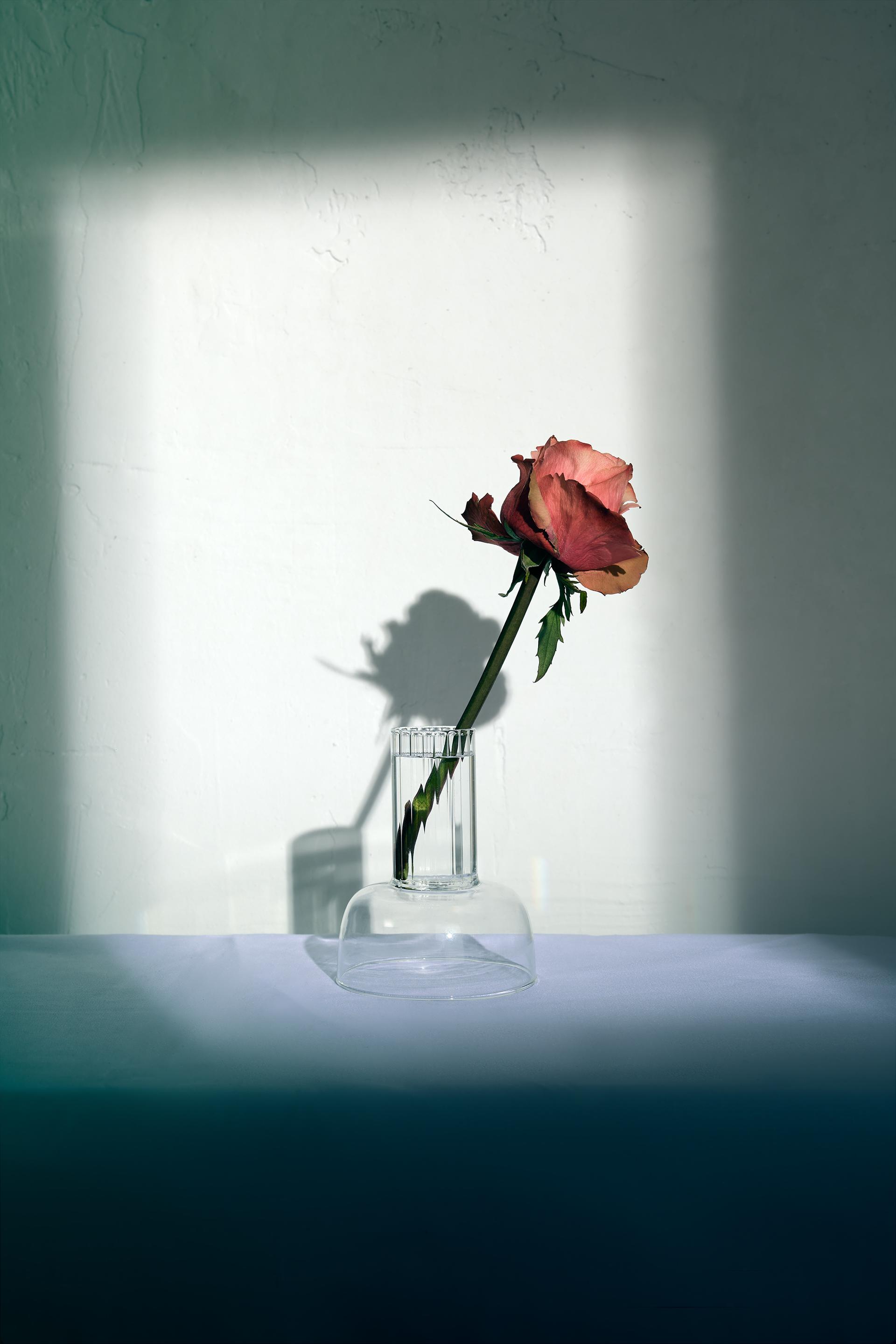 zara rose gourmand men