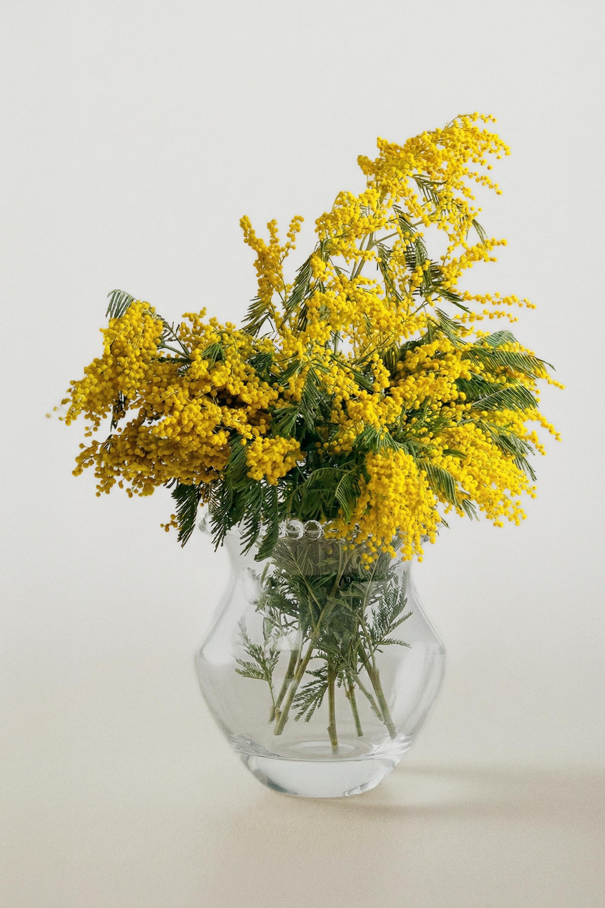 VASE VERRE BULLES