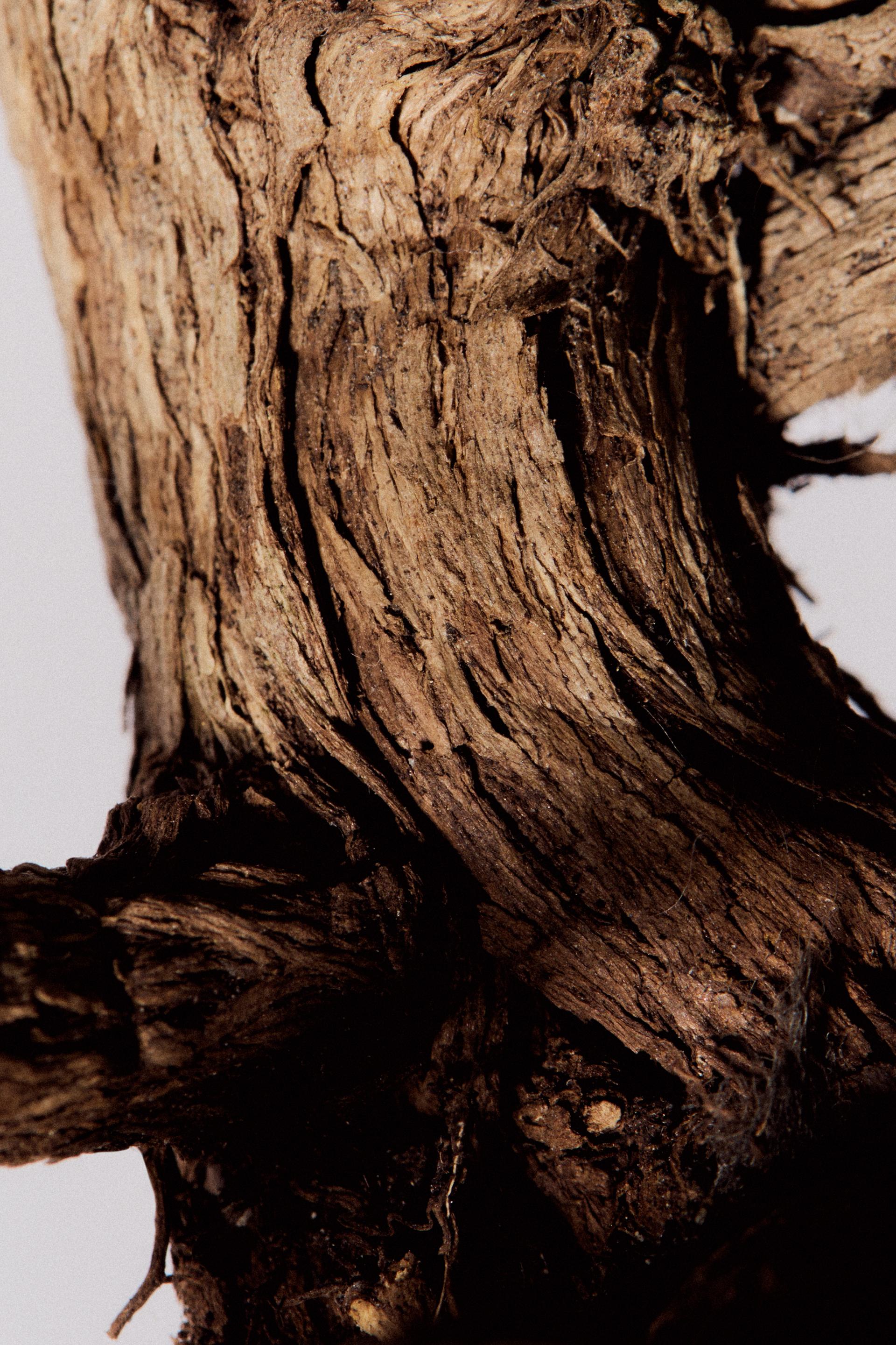 zara red temptation sandalwood