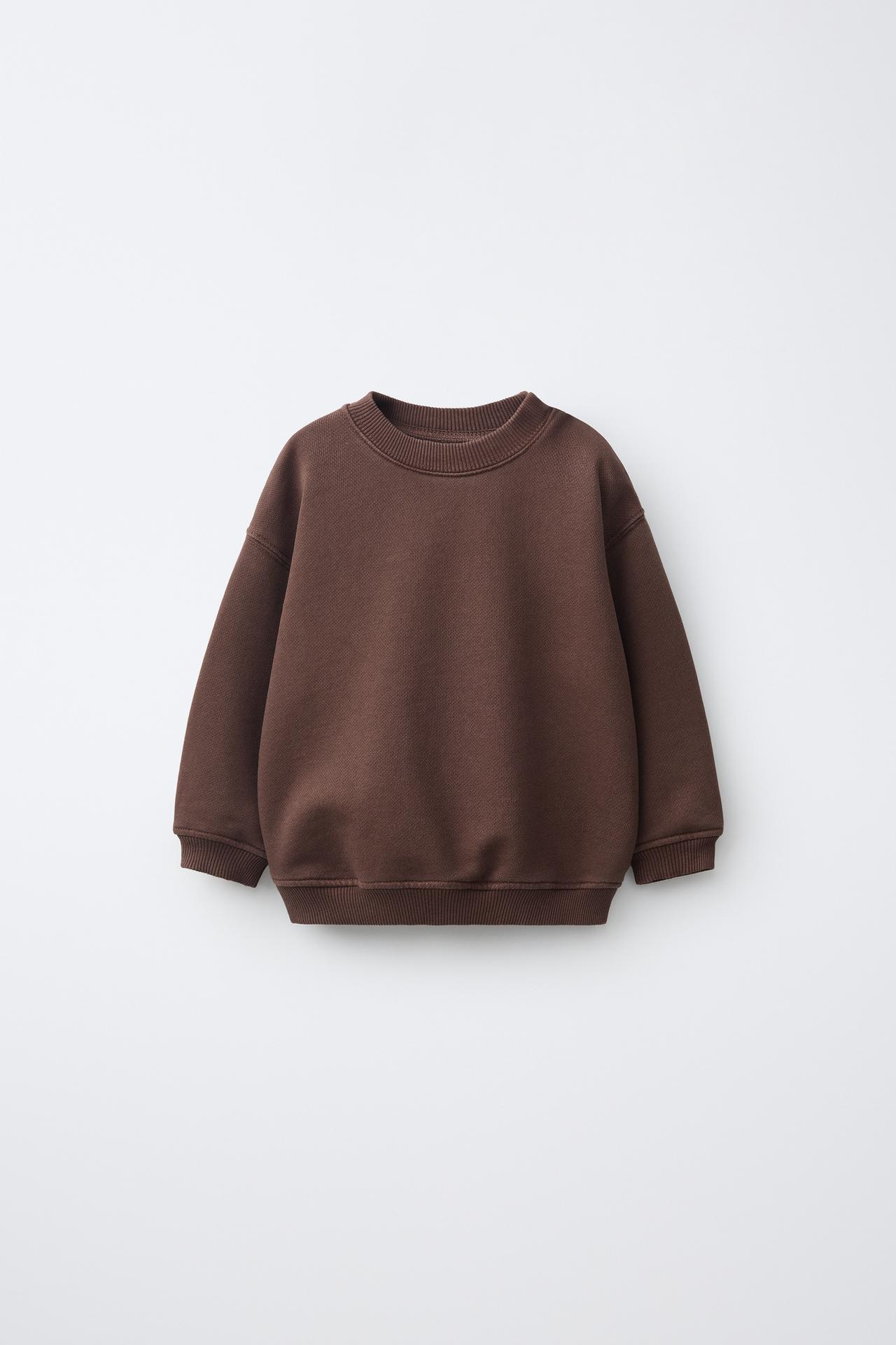 GARMENT-DYED SOLID SWEATSHIRT — Brown