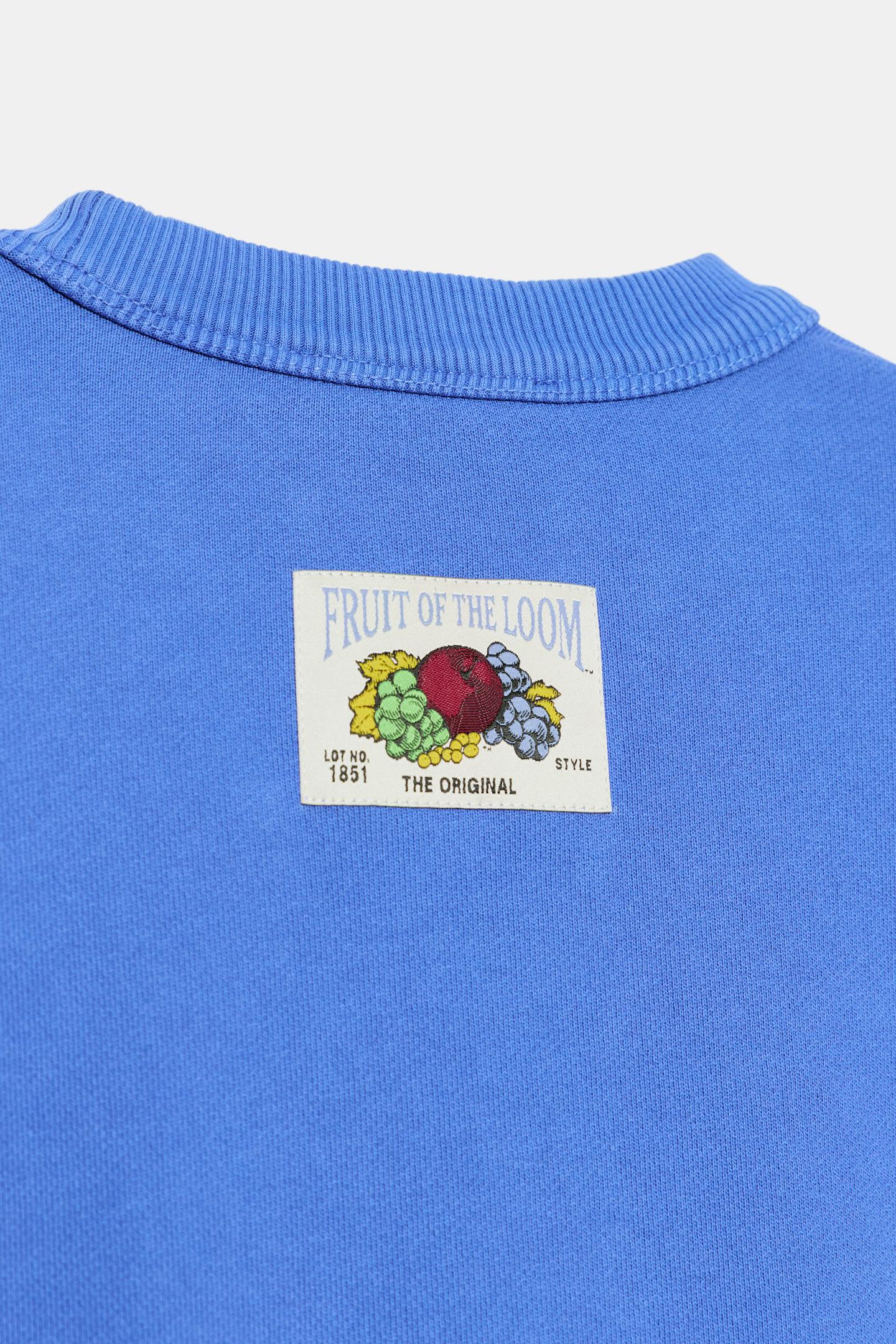 Женская толстовка Zara Fruit OF the Loom™ Washed, цвет: Голубоватый — фото 4