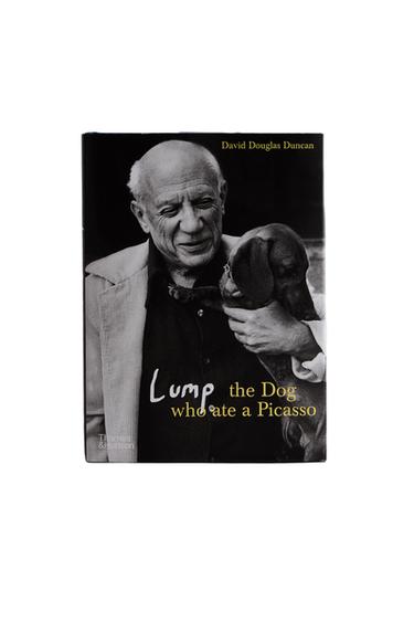 BUCH LUMP THE DOG WHO ATE A PICASSO (ENGLISCH) - Schwarz von Zara