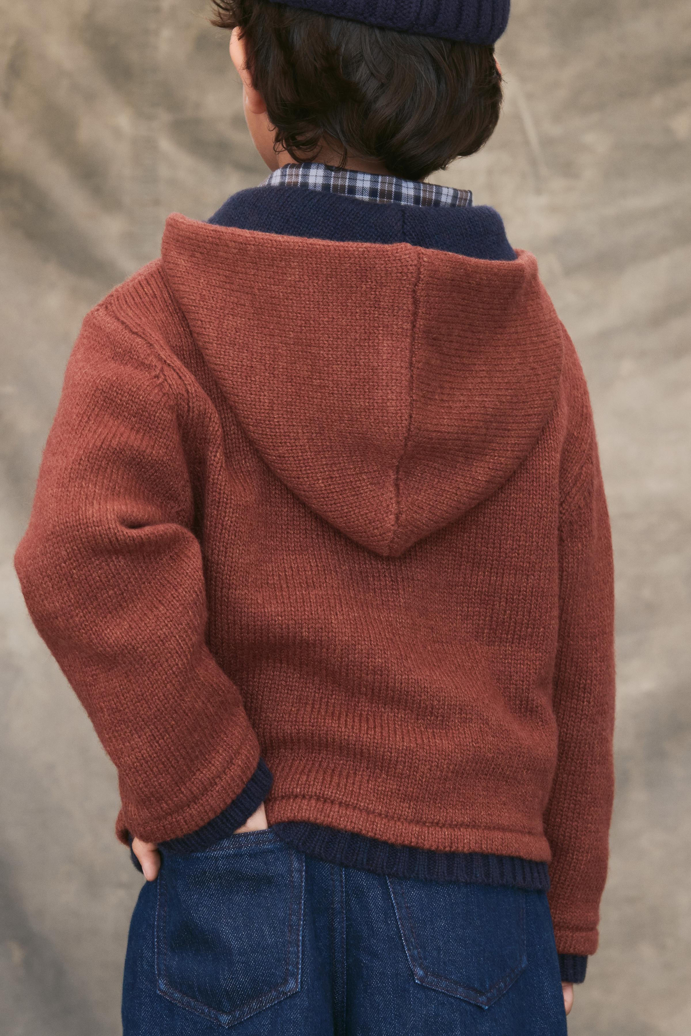 HOODED KNIT SWEATER LIMITED EDITION - Brick | ZARA United States