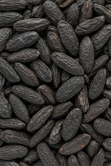 TONKA CREAM EDP 50ML -  de Zara - Image 1