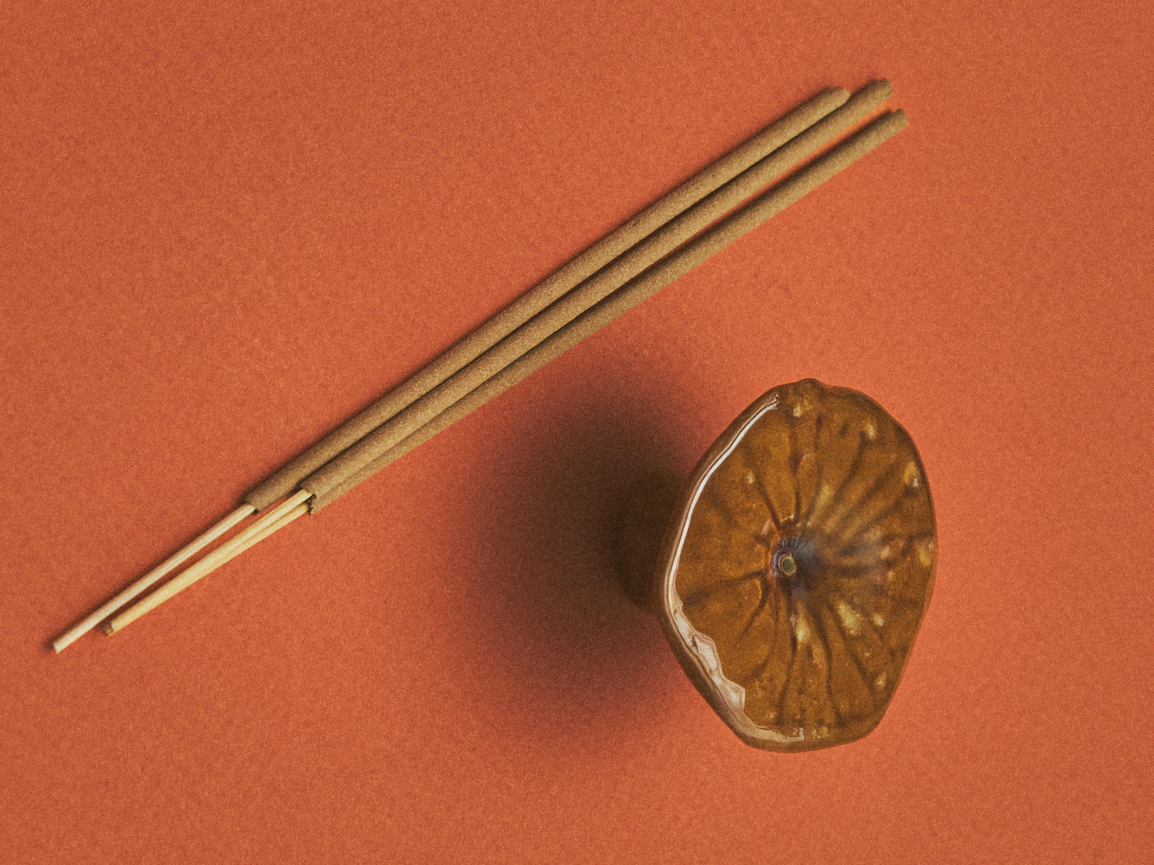 PUMPKIN SPICE SCENTED INCENSE STICKS (PACK OF 20) — Pumpkin