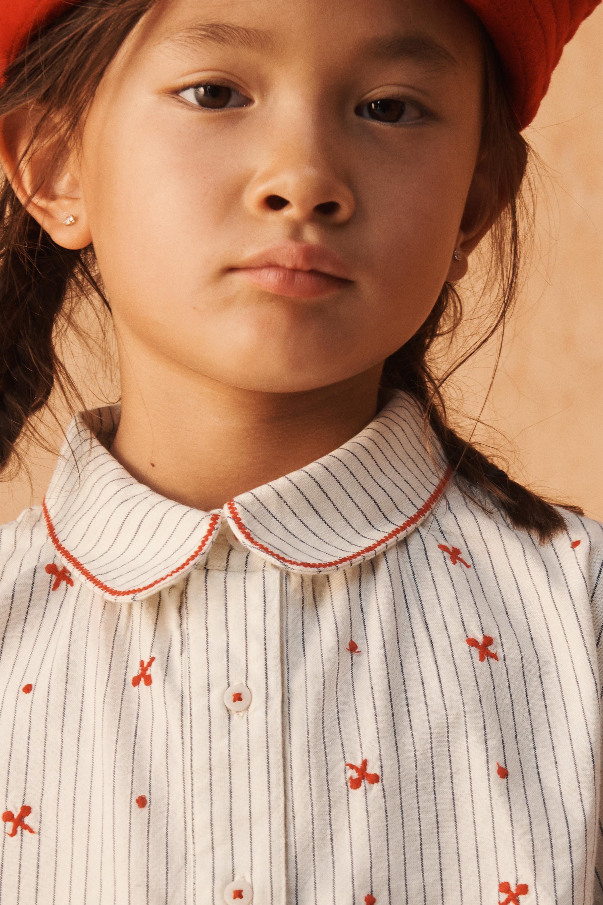 STRIPED AND EMBROIDERED LIMITED EDITION SHIRT