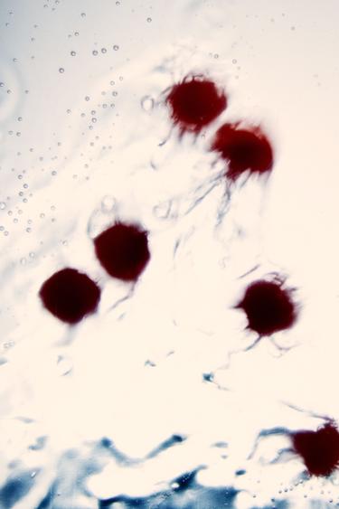 CHERRY STAIN 01 EDP 100ML / 3.38 oz - TINTED LEATHER by Zara