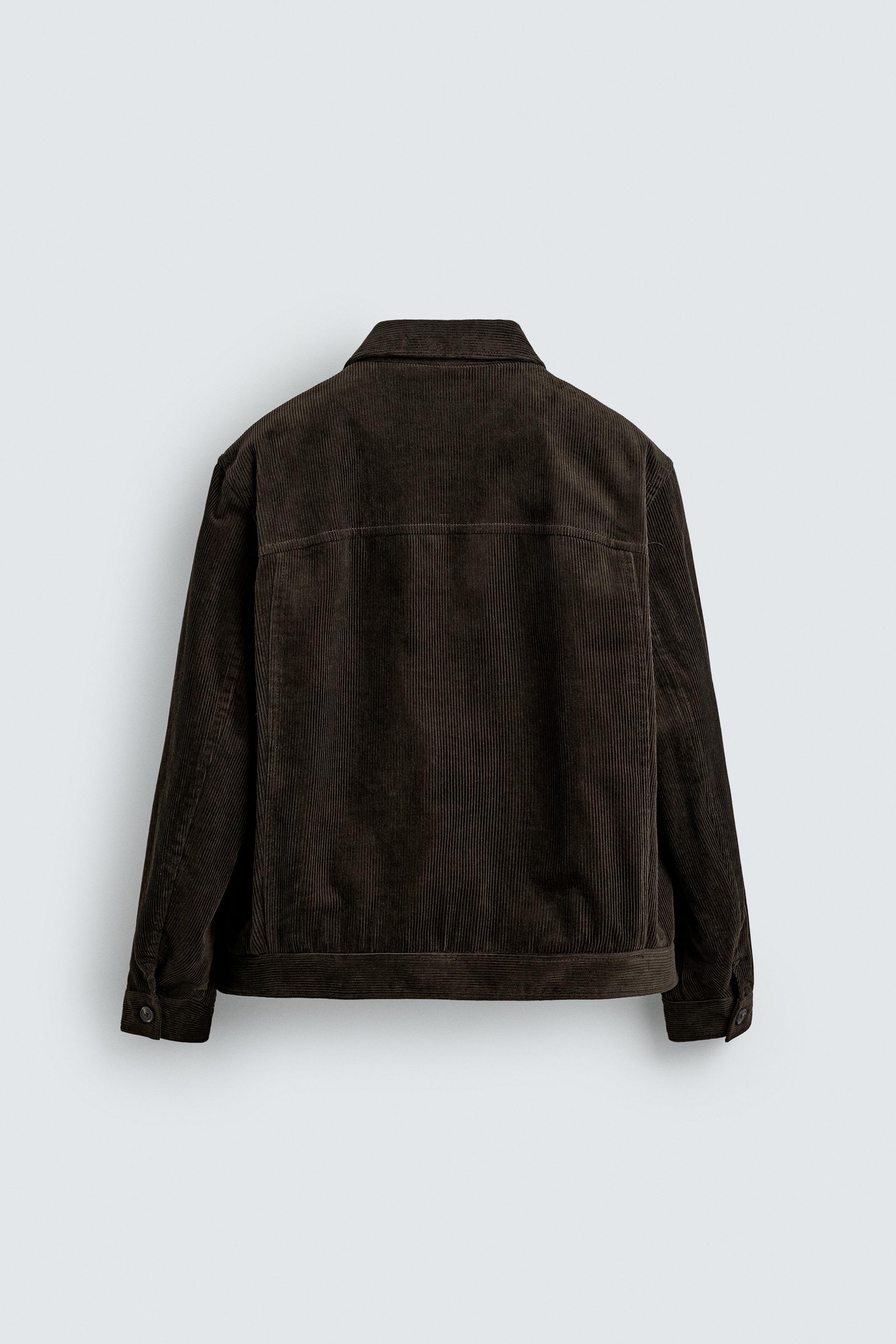 レギュラーフィット コーデュロイジャケット - ブラウン | ZARA Japan