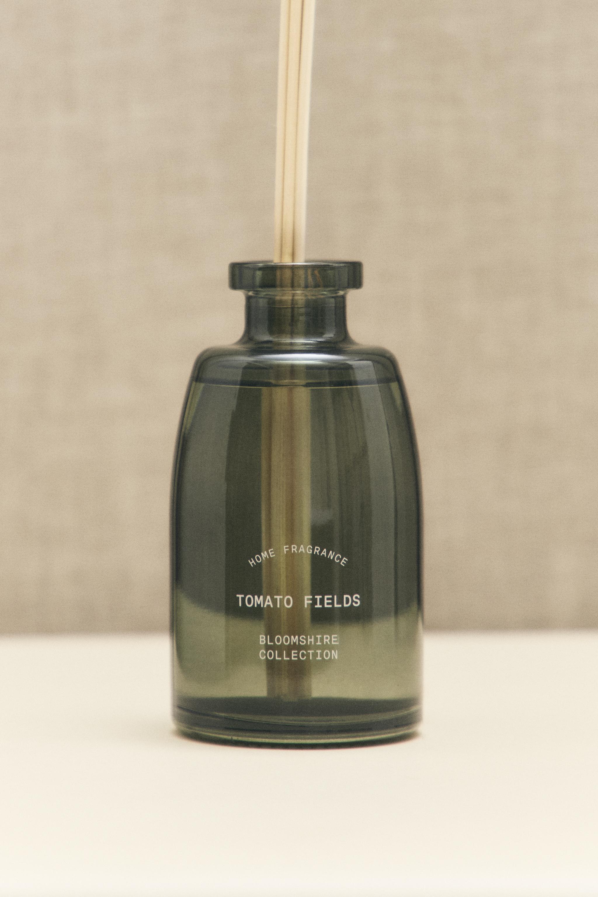 240ML) TOMATO FIELDS リードディフューザー - レッド | ZARA Japan / 日本