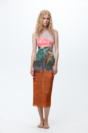 RENÉ MAGRITTE PRINT TULLE DRESS - Printed by Zara