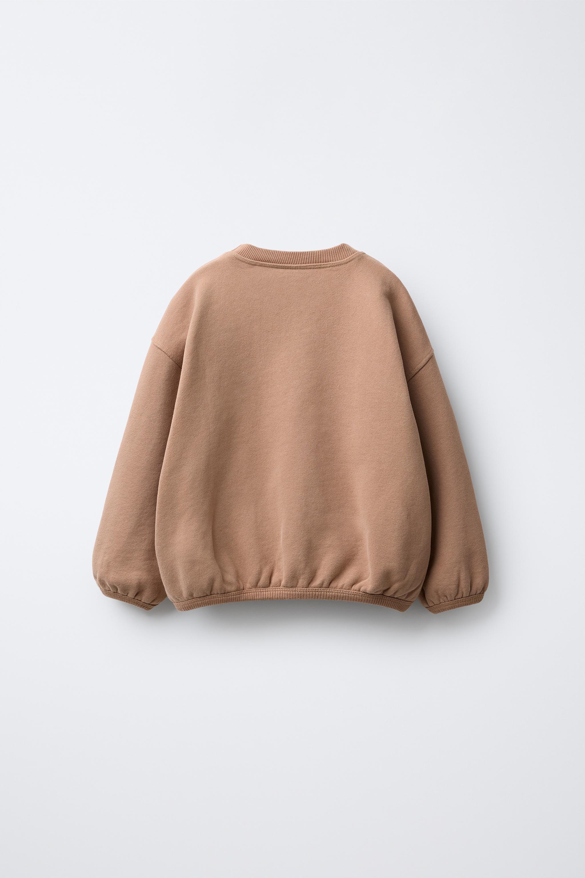 Brown Sweatshirts Zara Women's Sweatshirts EMBROIDERED