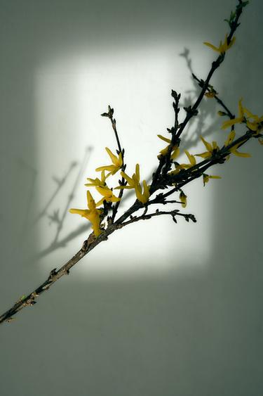 AMBER FUSION EDP 30 ML (1,01 FL. OZ). -  de Zara - Image 1