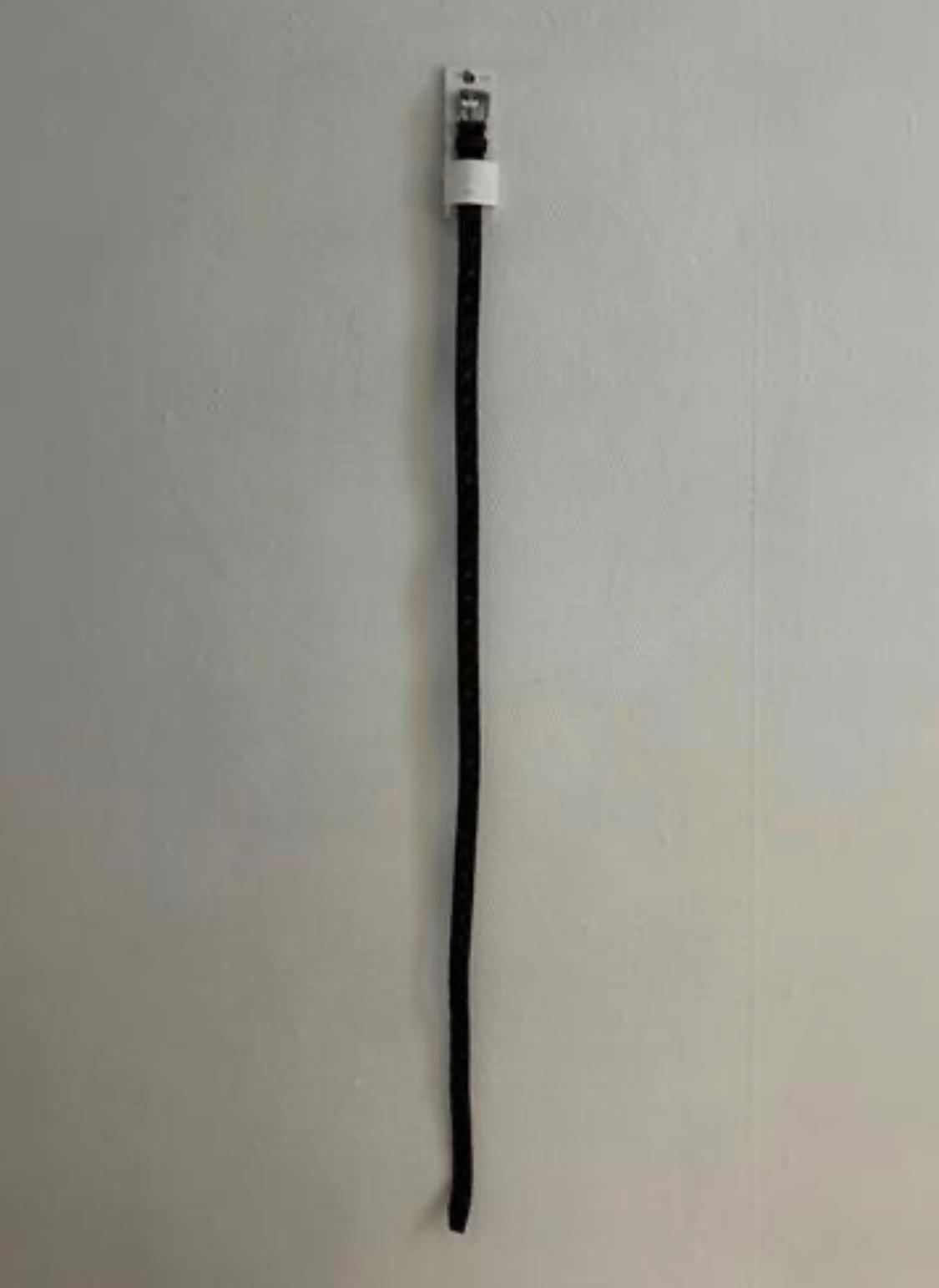 Thin black belt with buckle and tag, hanging vertically on a plain white wall. Minimalist style.