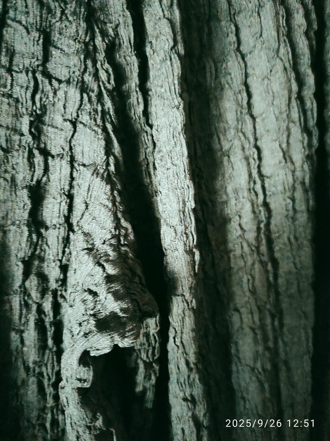 TEXTURED TROUSERS - Image 4