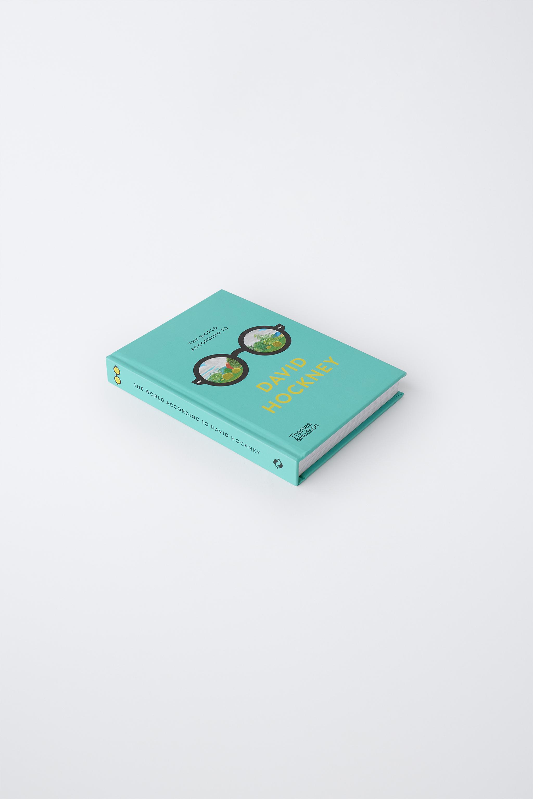 THE WORLD ACCORDING TO DAVID HOCKNEY BOOK (ENGLISH)
