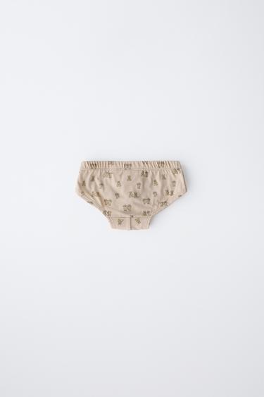 2-6 YEARS/ 6-PACK OF BEAR PRINT BRIEFS - Multicoloured by Zara - Image 3