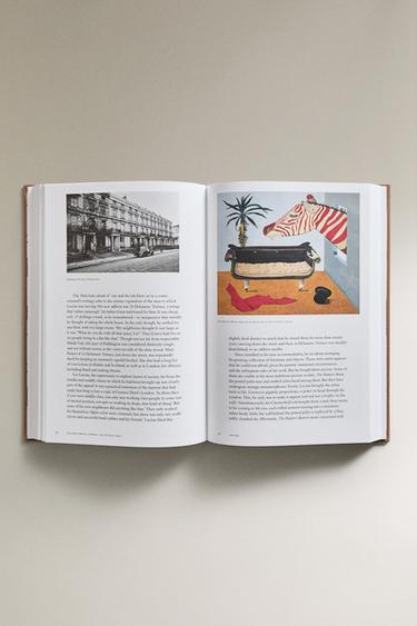 LIVRE LOVE LUCIAN - Gris de Zara - Image 2