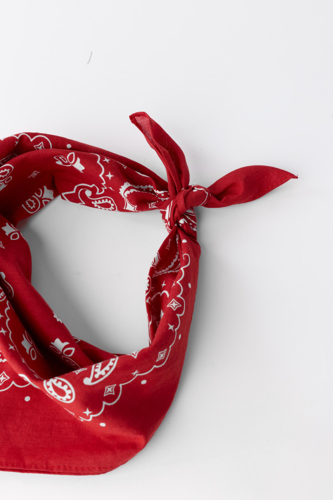 PAISLEY PRINT BANDANA — Red
