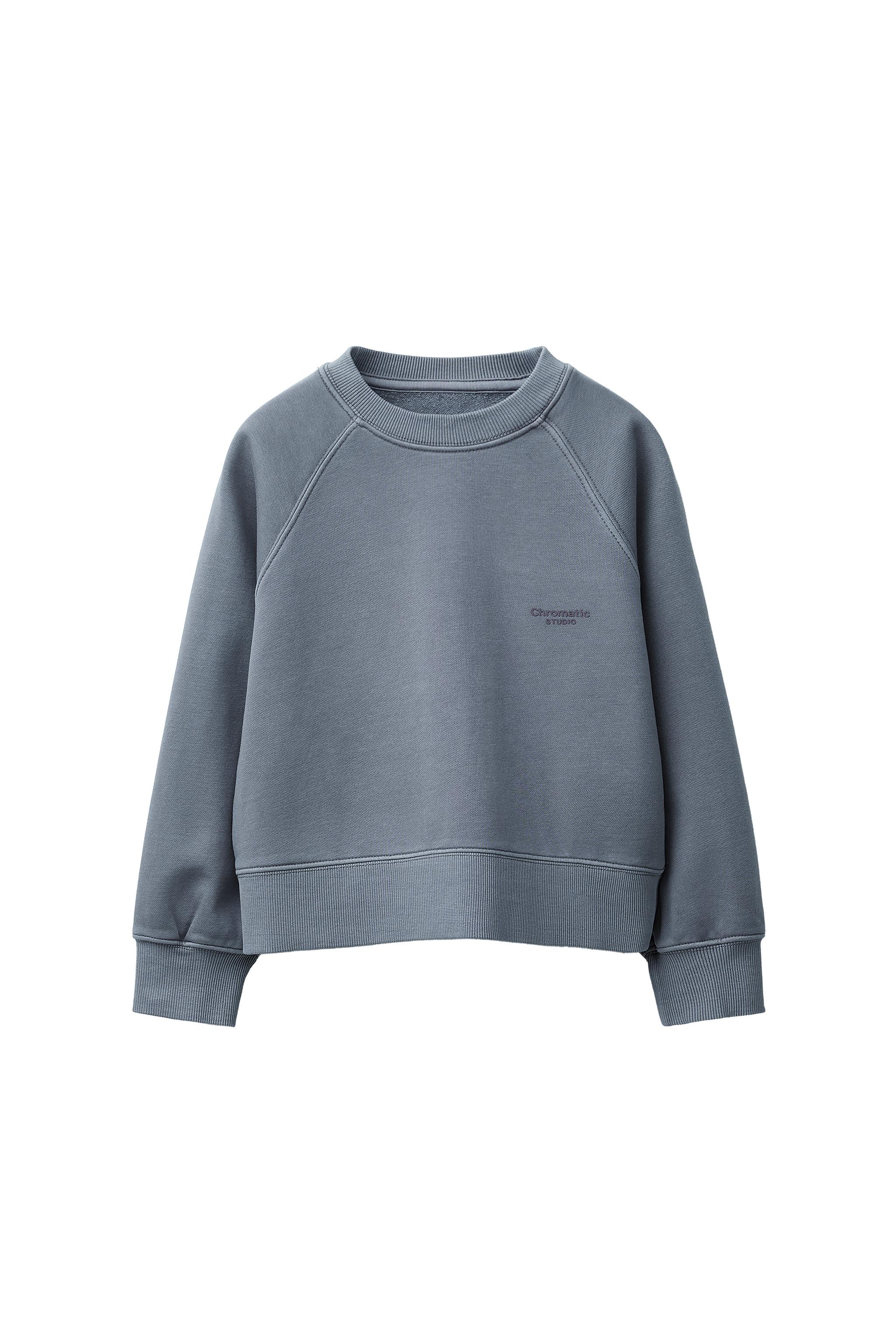 SWEATSHIRT MET VERWASSEN EFFECT EN TEKST - Lichtblauw | ZARA