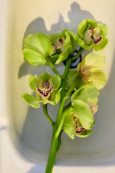 GOLDEN SWEET DECADE EDP 80ML -  de Zara - Image 1