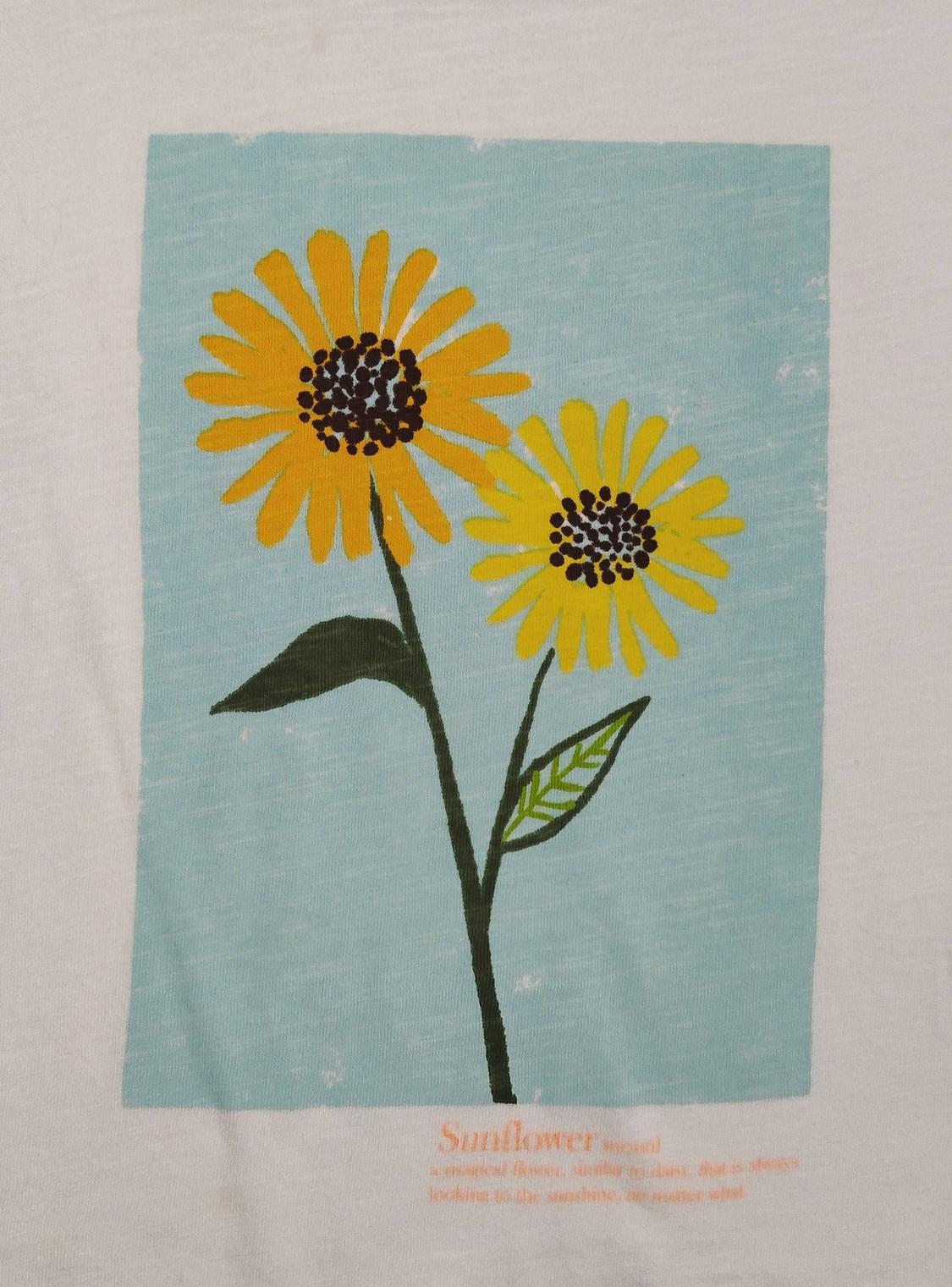 Ilustración de dos girasoles amarillos sobre fondo azul. Texto: "Sunflower, a magical flower, looking to the sunshine, no matter what".