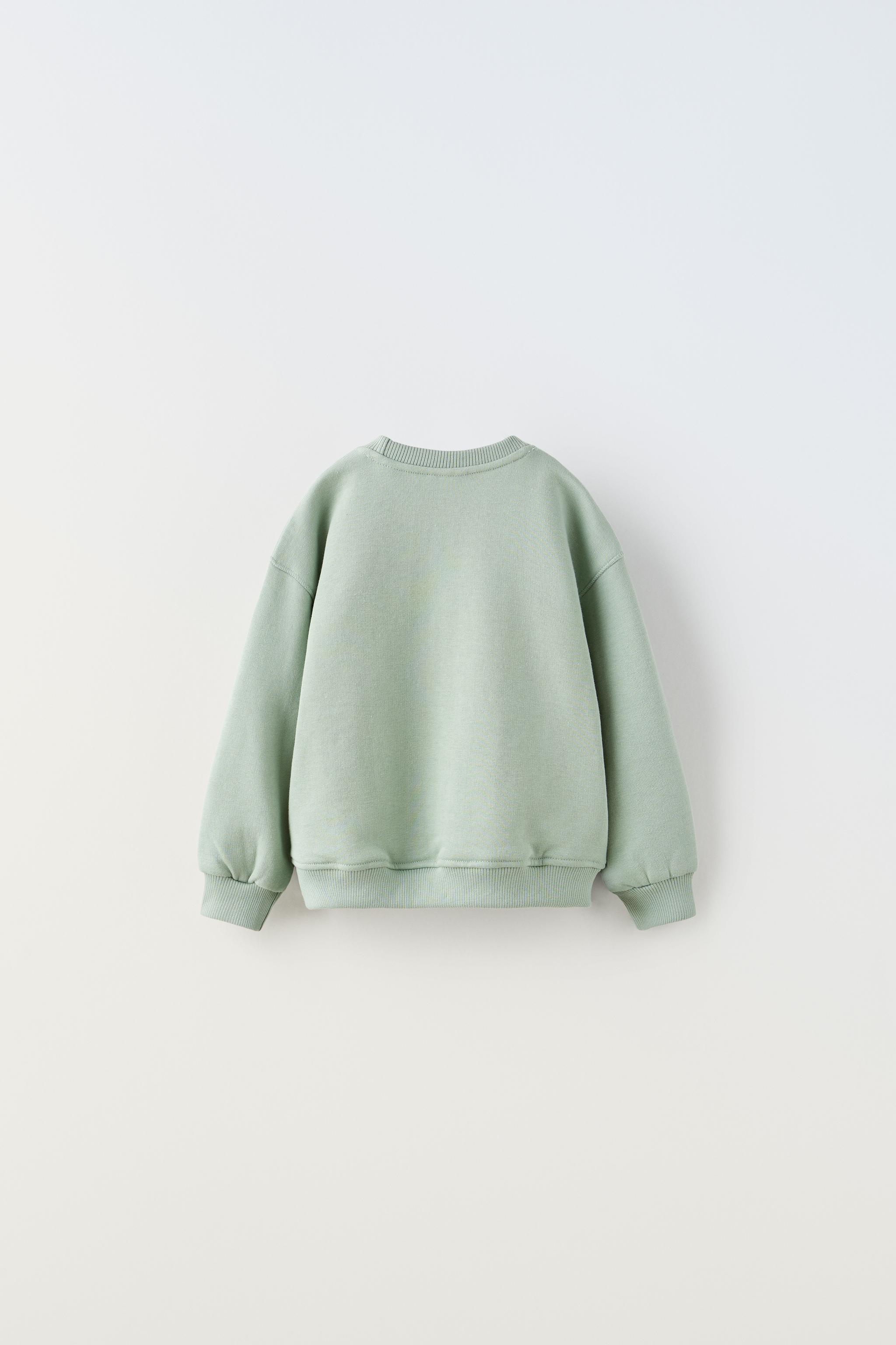 Zara discount plain sweatshirt