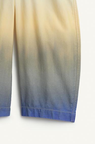 DP DY PNT 16 - Imprimée de Zara - Image 8