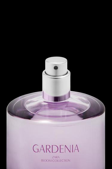 GARDENIA EDP 90ML / 3.04 oz - TINTED LEATHER by Zara