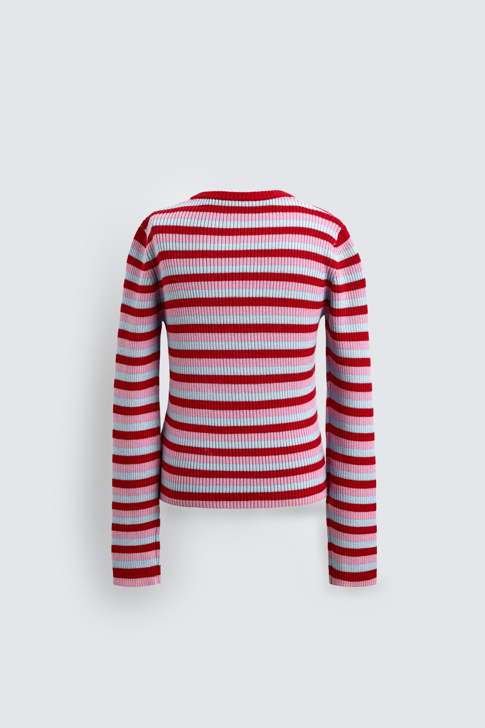 JERSEY RAYURES PIÈCE GOOFY HARRY LAMBERT FOR ZARA X DISNEY