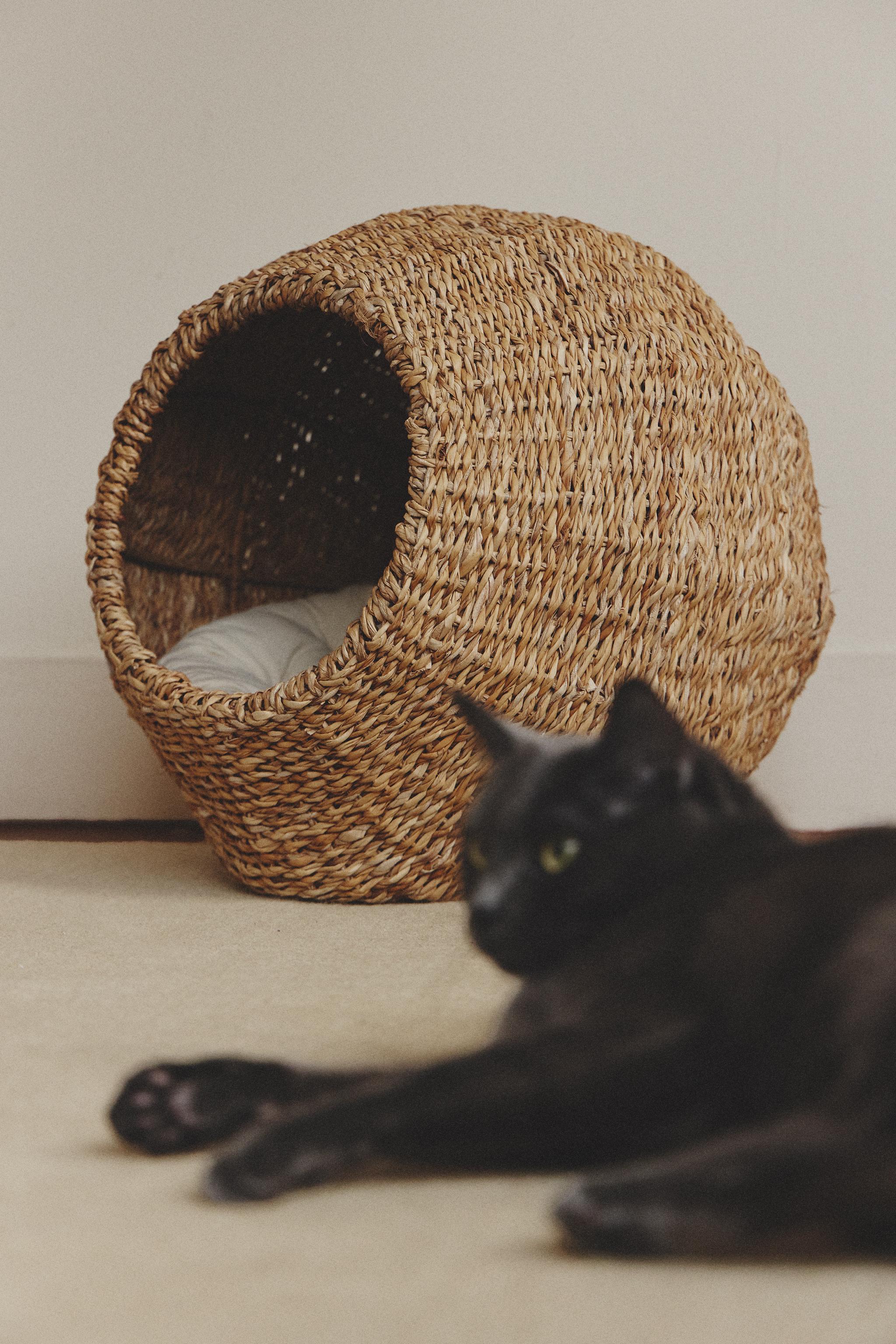 シーグラス ペットベッド - ライトベージュ | ZARA Japan / 日本