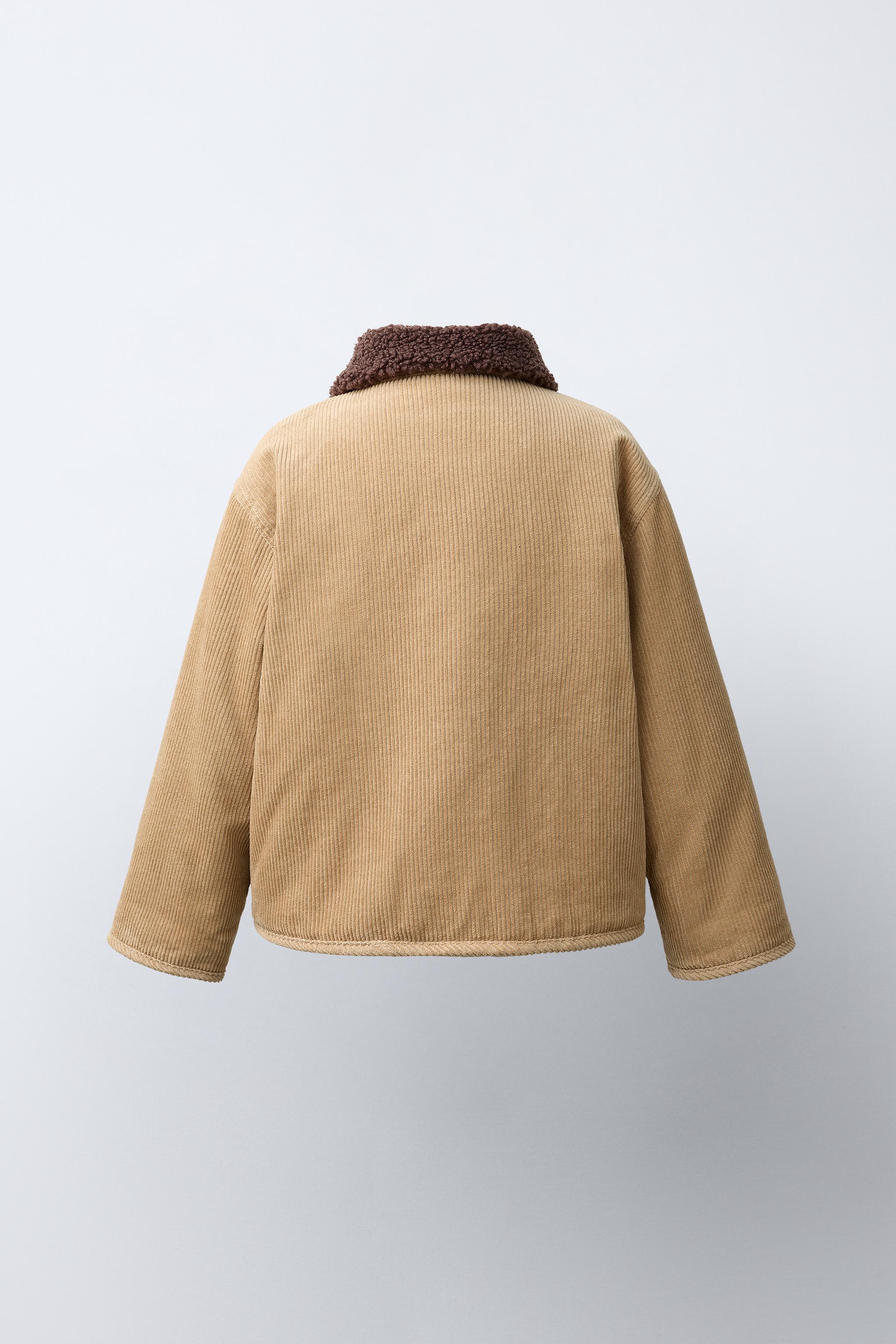 BLOUSON DAIM PANA BORREGUILLO OSITO BORDADO