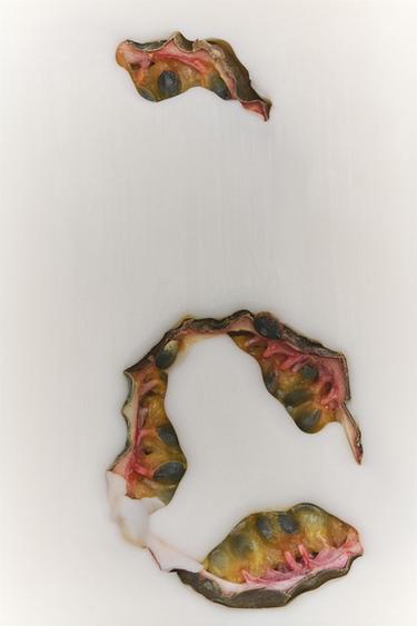 Zara BRIGHT FRUIT 香水 80 毫升 - 明淺棕色
