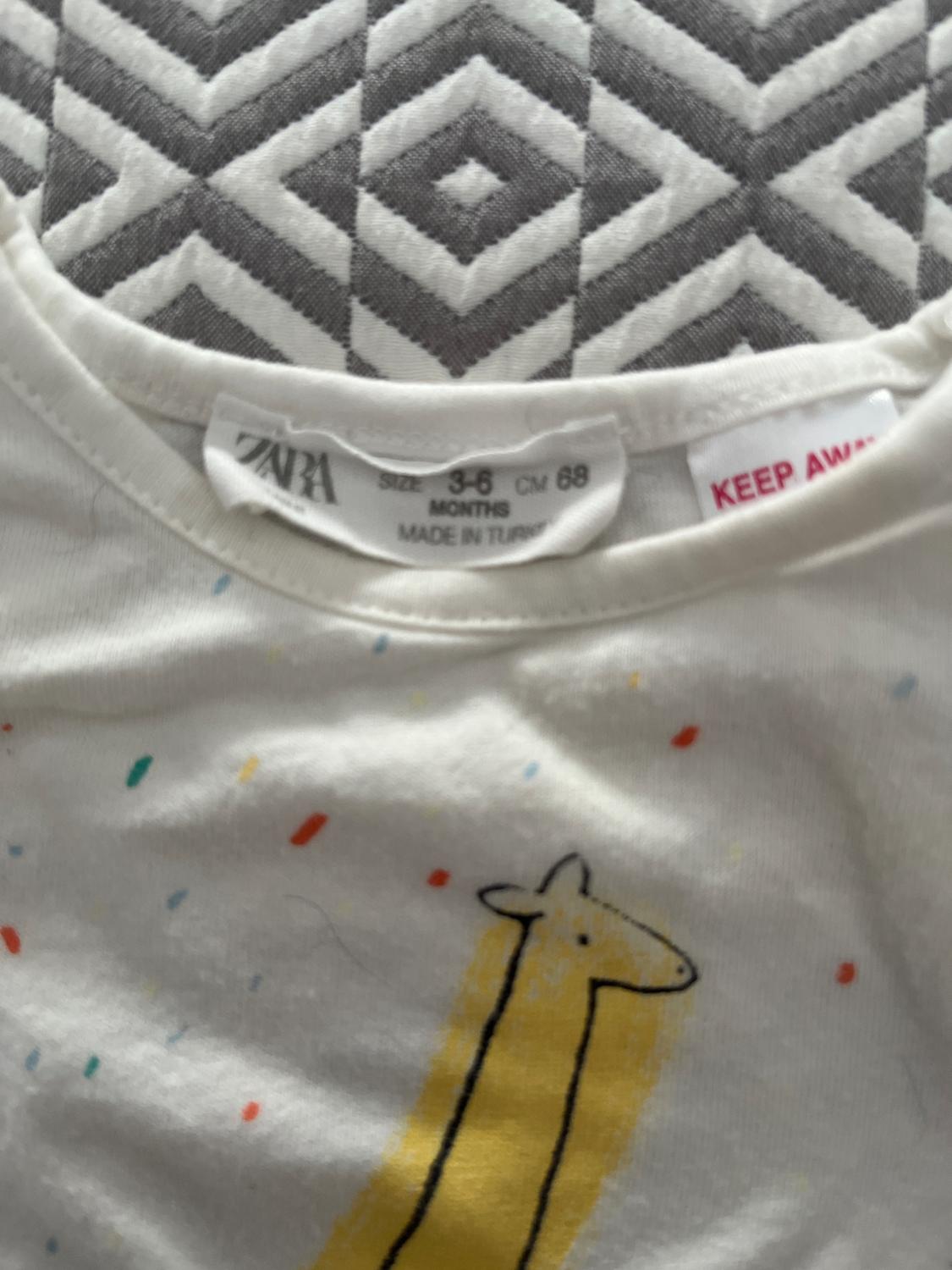 SKETCHED ANIMAL T-SHIRT - Image 3