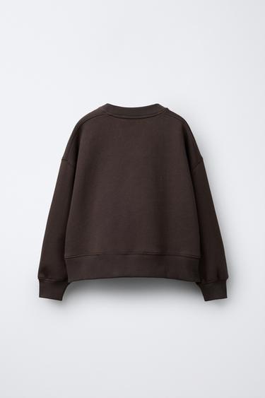 EMBROIDERED PUPPY SLOGAN SWEATSHIRT - Brown by Zara - Image 1