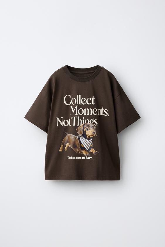 DACHSHUND PRINT T-SHIRT - Brown by Zara - Image 0