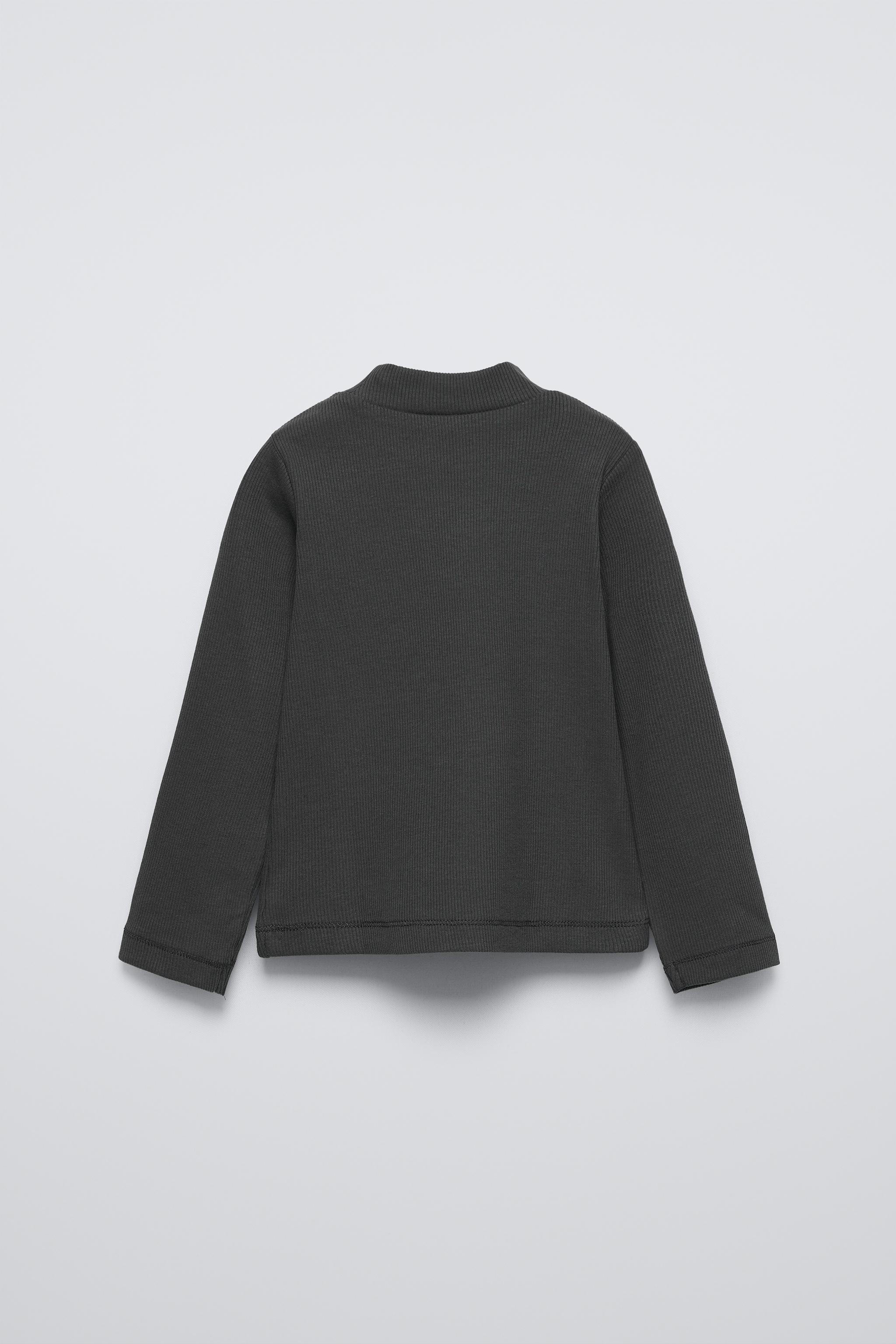 EMBROIDERED RIBBED T-SHIRT - Ecru | ZARA United States