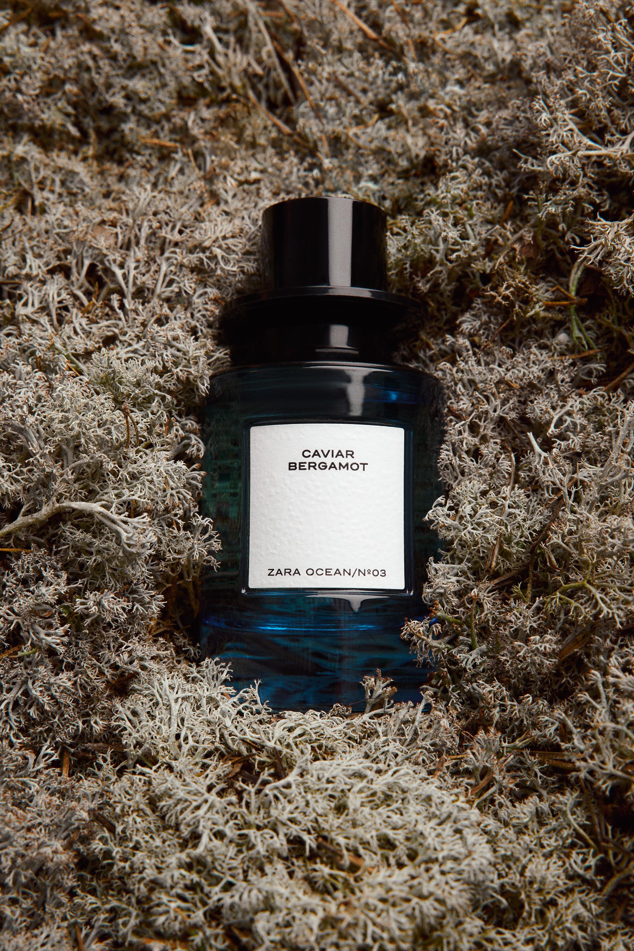 CAVIAR BERGAMOT EDP 100ML (3.4 FL. OZ)