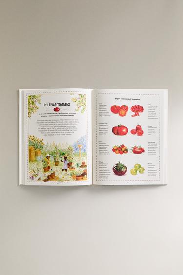 LIVRE POUR ENFANTS LES COMPÉTENCES OUBLIÉES (ESPAGNOL) - Multicolore de Zara - Image 3