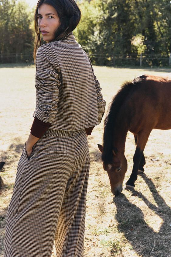 VESTE COURTE PIED-DE-POULE - Marron clair de Zara - Image 3