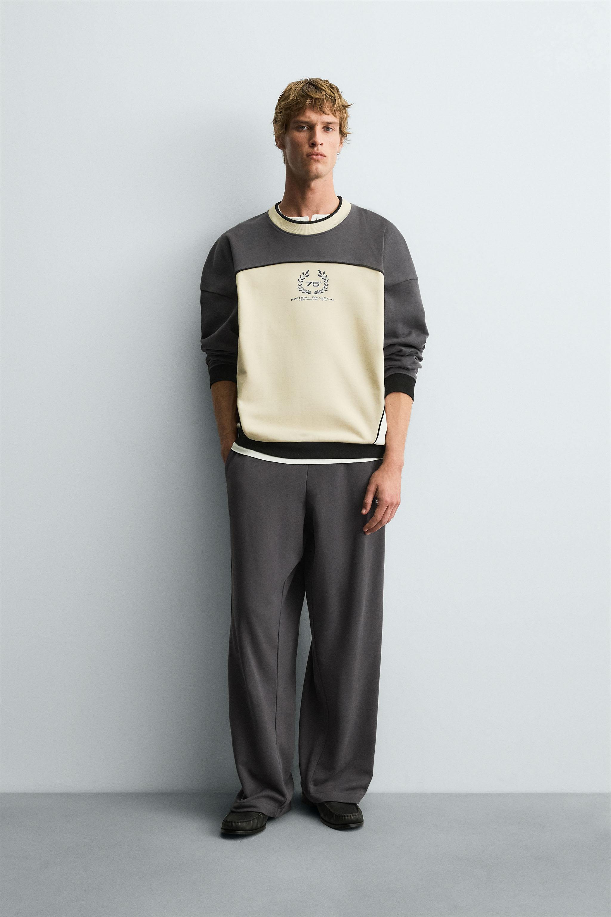 【8/29まで値下げ】PRINT Sweat Crew-neck P/O Big blurhmsROOTSTOCK (ブラームスルーツストック)】PRINT Sweat