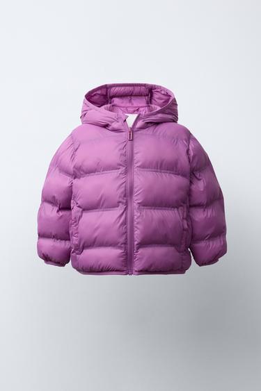 CAZADORA LIGERA ACOLCHADA CAPUCHA - Malva oscuro de Zara