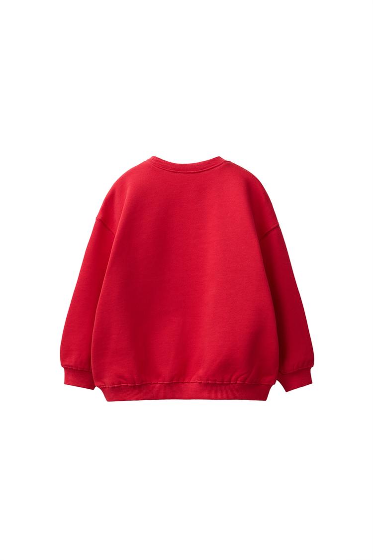 Sudadera de felpa con bordado de margarita 2