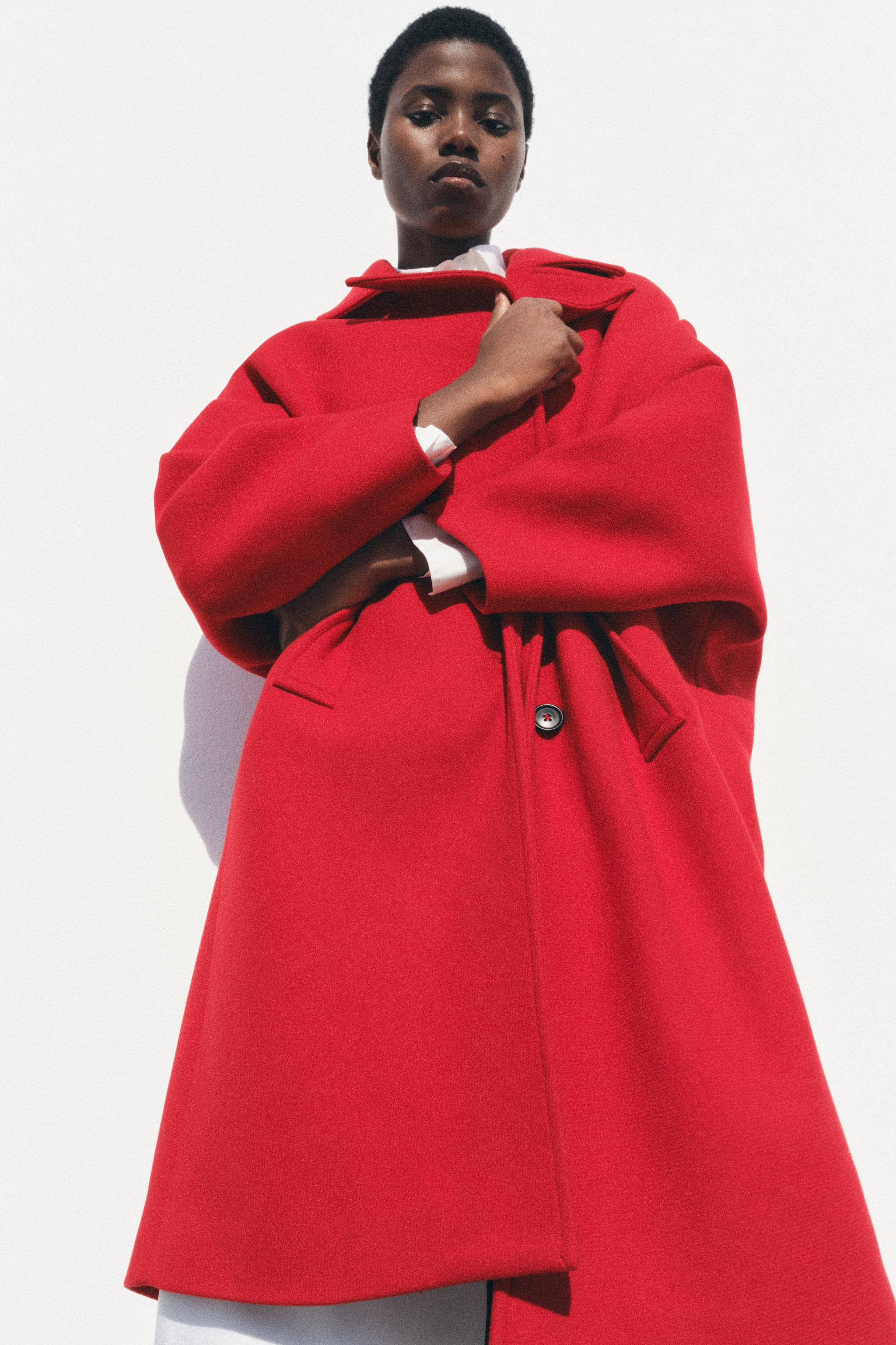 ZARA STEVEN MEISEL 100％ウールポンチョコート ZARA STEVEN MEISEL 100％ウールポンチョコート コート - レディース