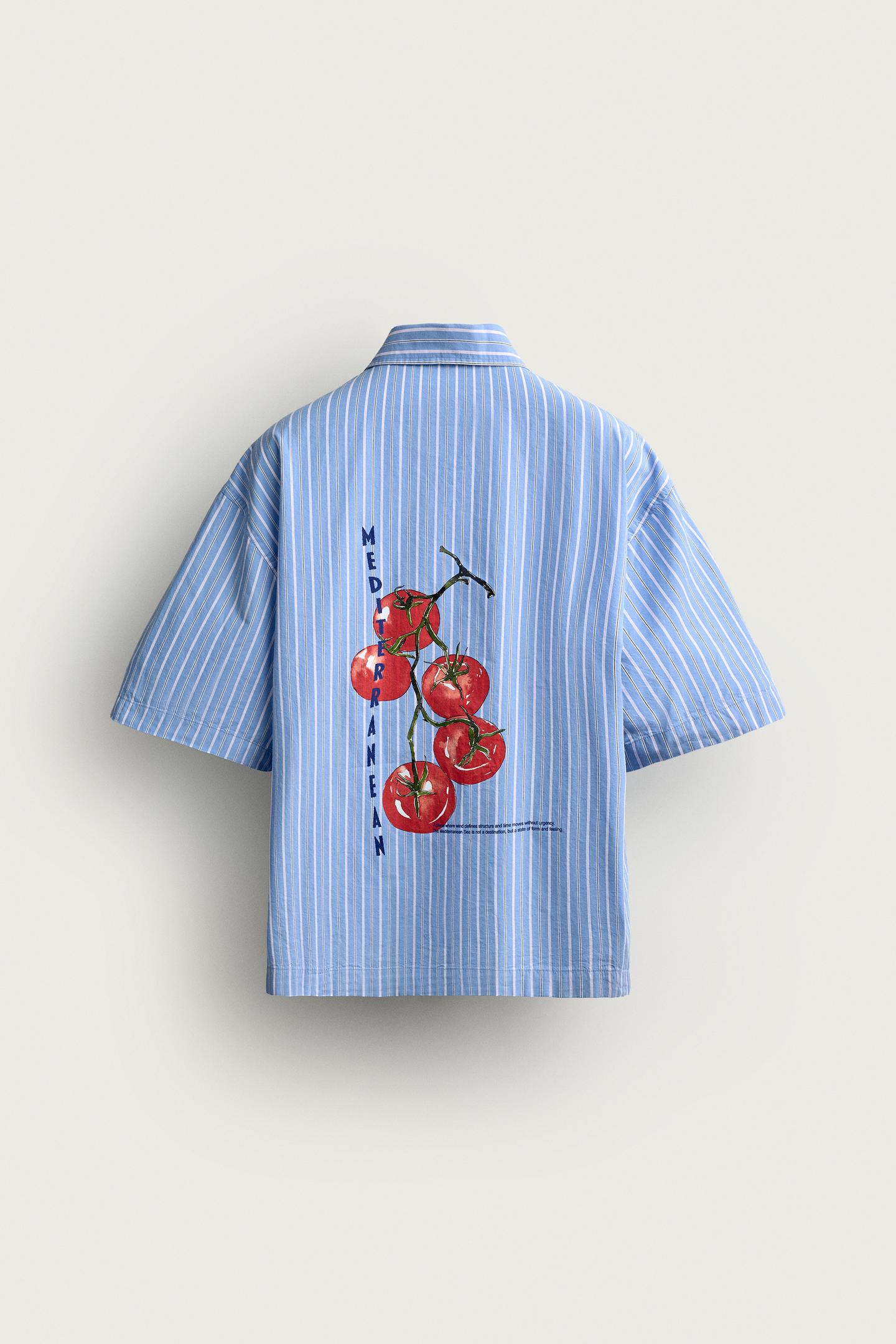 Мужское поло Zara Tomato Print Polo Shirt, цвет: Синий / Белый — фото 8