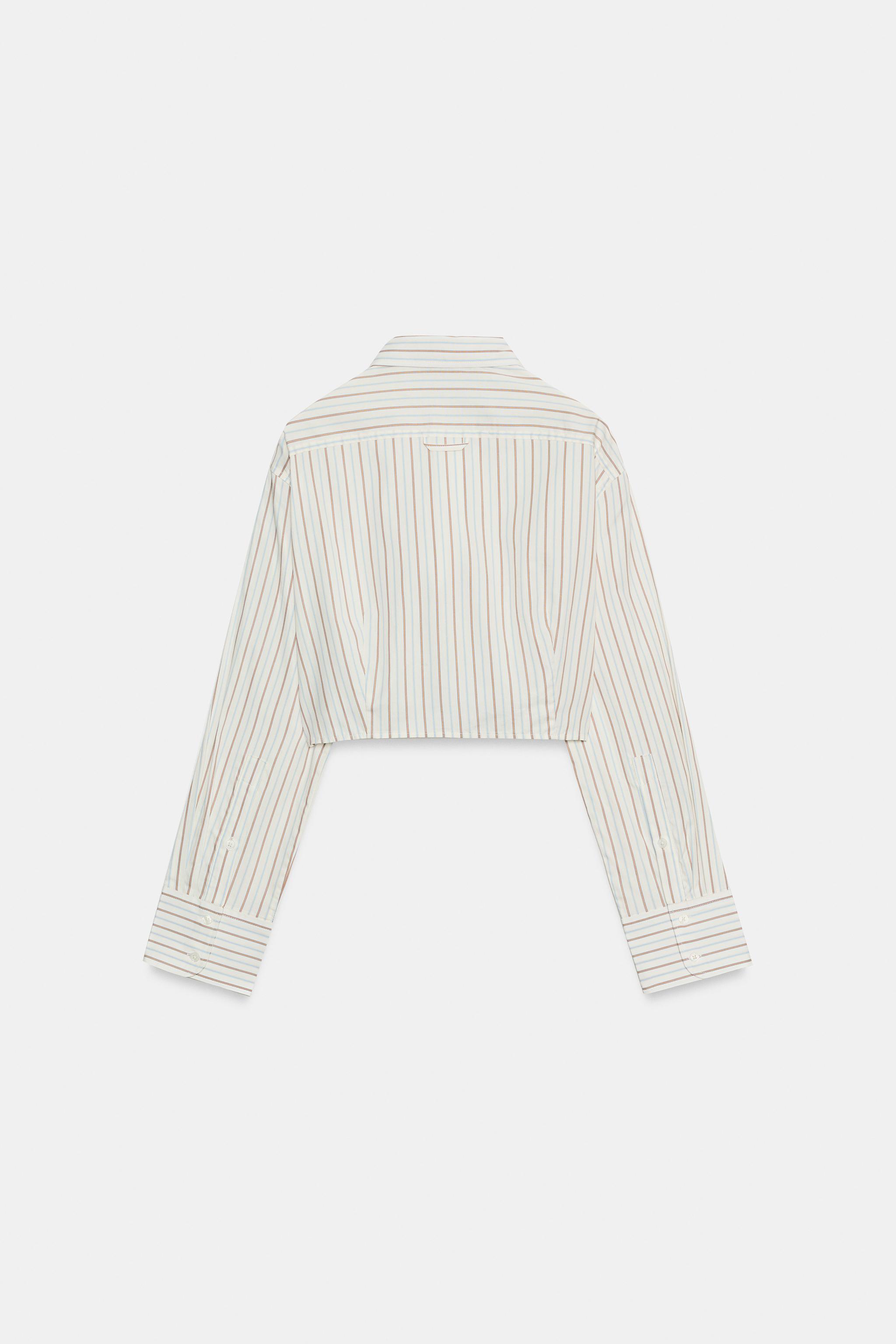 STRIPED POPLIN CROPPED SHIRT — Brown / White