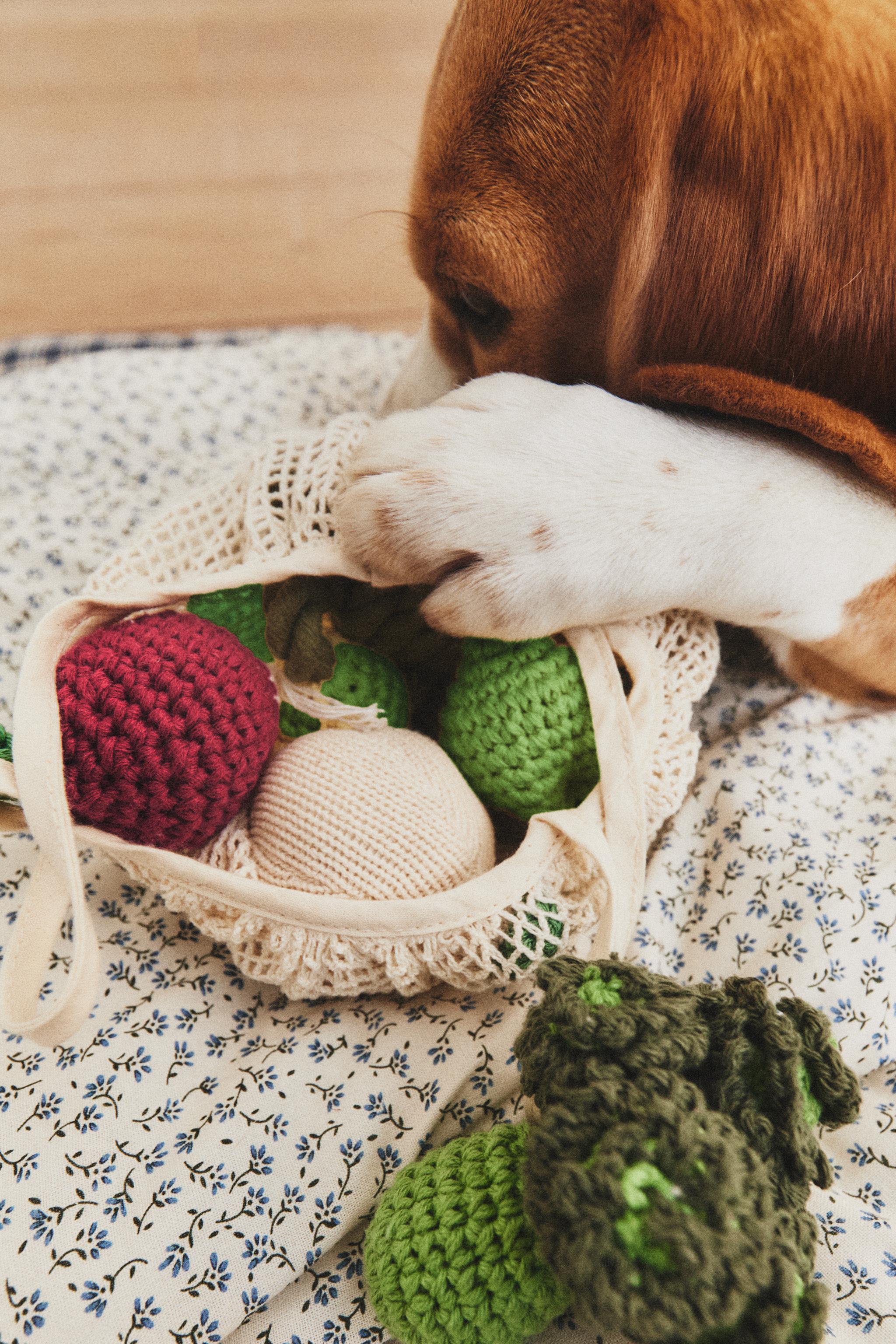 LOT DE JOUETS LÉGUMES POUR ANIMAUX