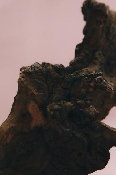 SHADES OF NOSTALGIA EDP 100 ML (3.4 FL.OZ) -  de Zara - Image 2