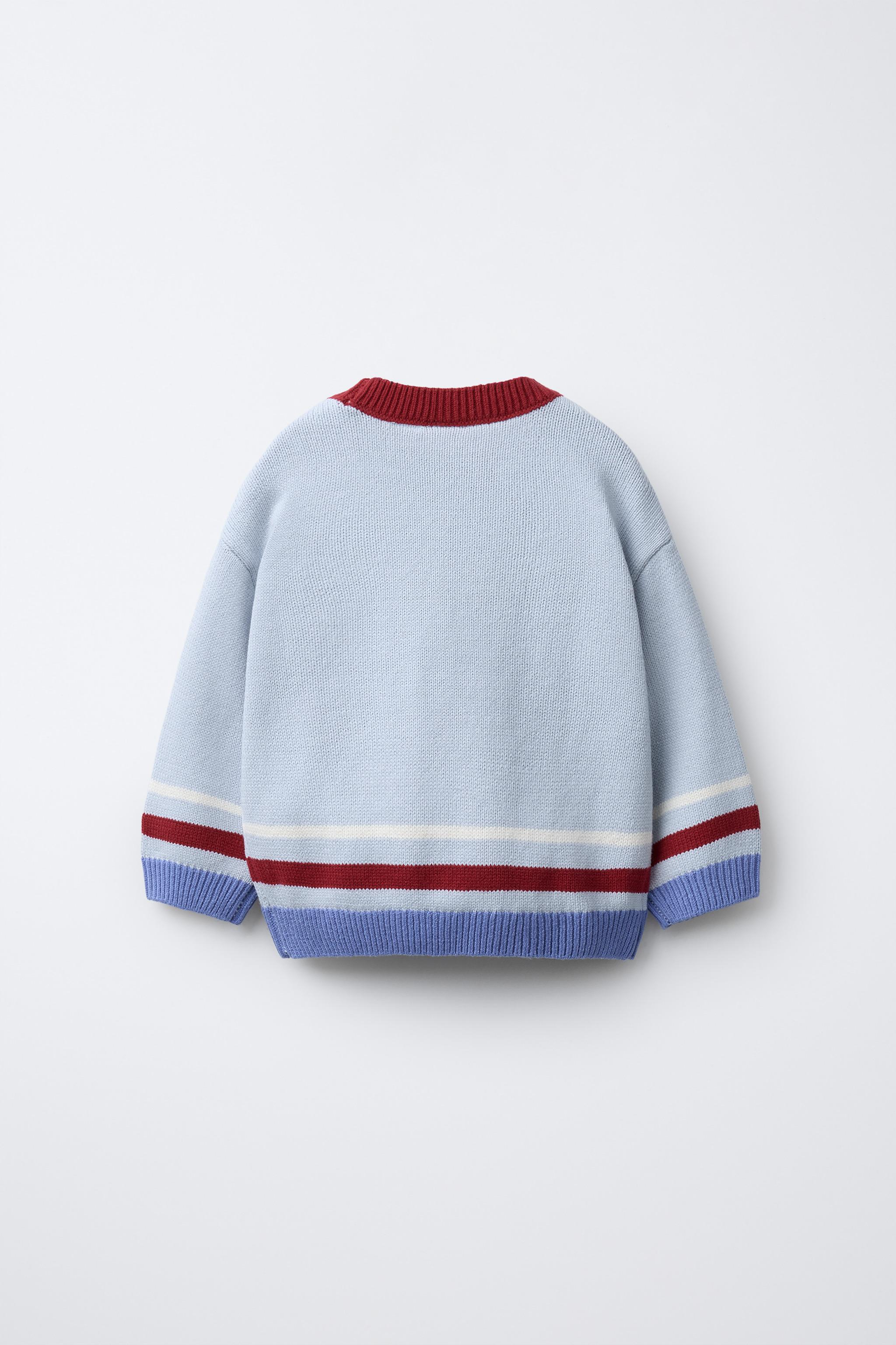 刺繍ニットセーター - ライトブルー | ZARA Japan / 日本