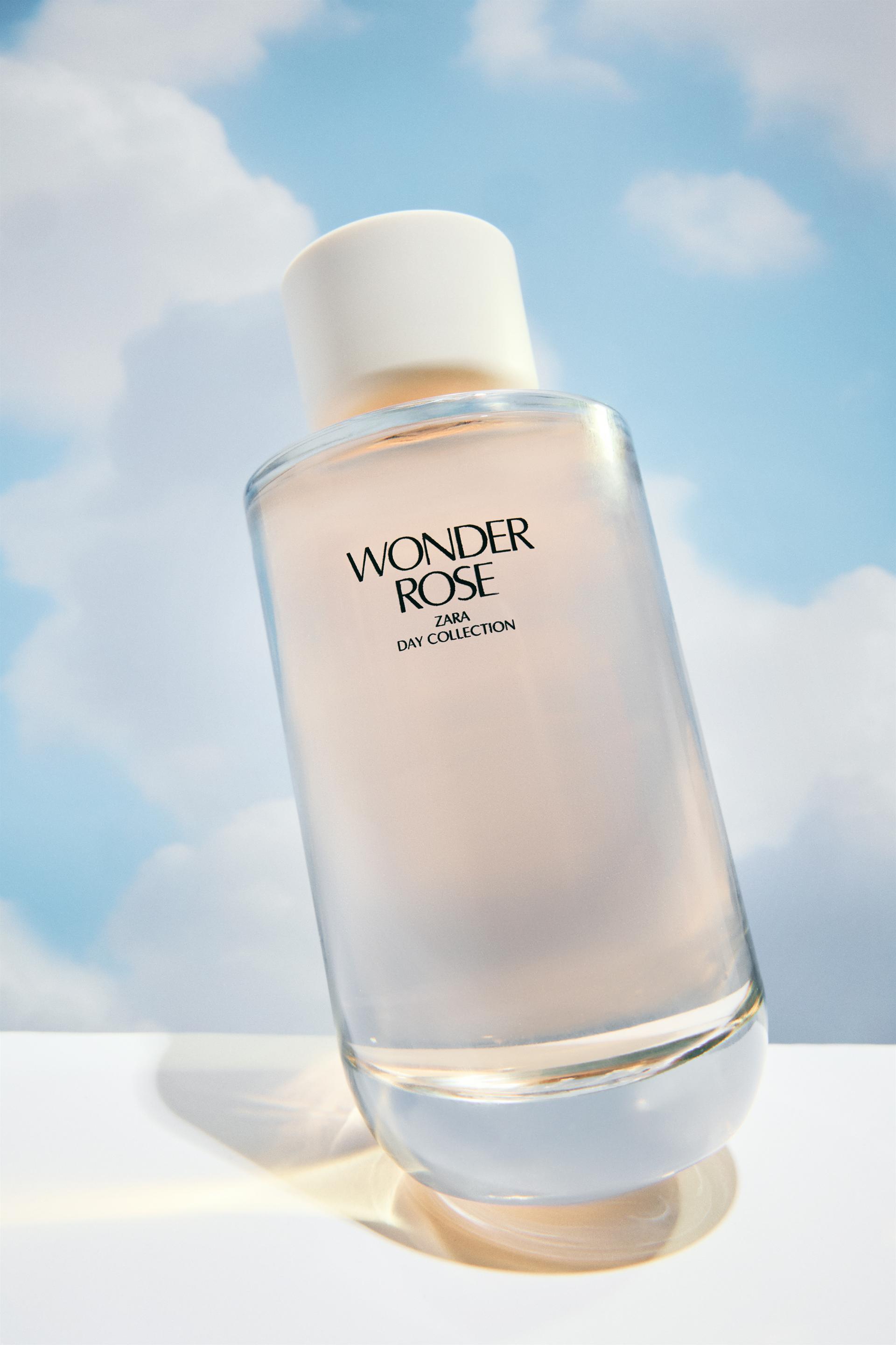 zara wonder rose